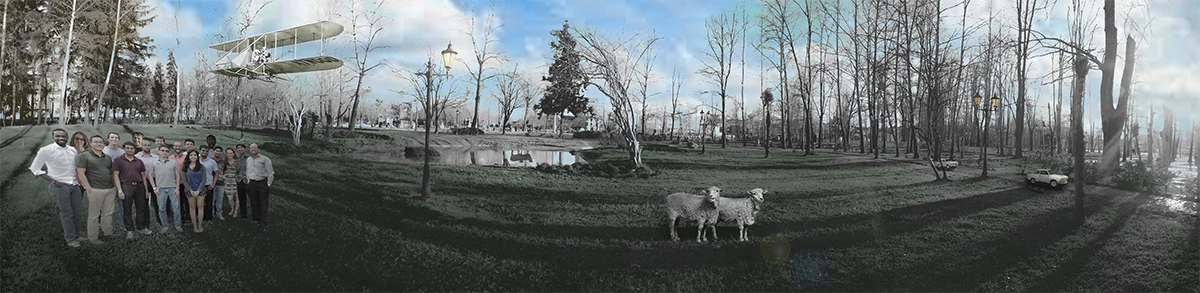 عکس‌سازی گوسفندها در پارک شهر رشت سپهر نصیحت گر